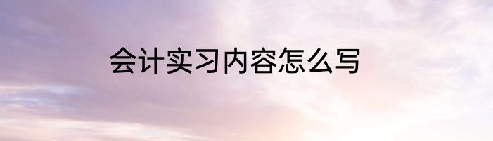 会计实习内容怎么写