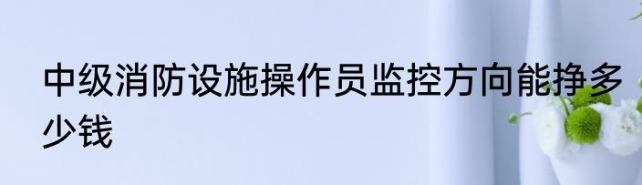 中级消防设施操作员监控方向能挣多少钱