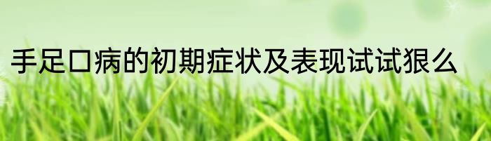 手足口病的初期症状及表现试试狠么
