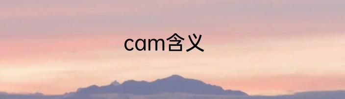 cam含义