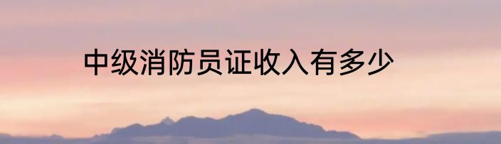 中级消防员证收入有多少
