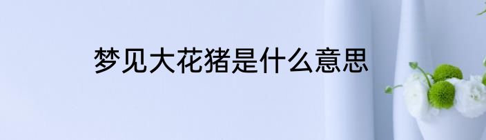 梦见大花猪是什么意思