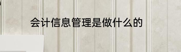会计信息管理是做什么的