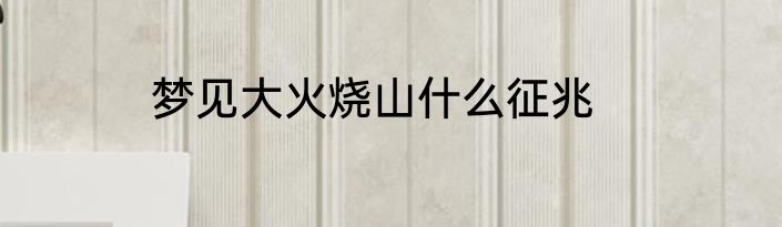 梦见大火烧山什么征兆
