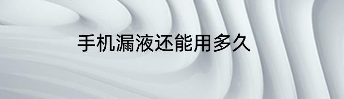 手机漏液还能用多久