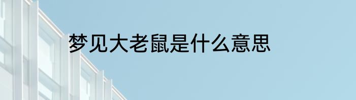 梦见大老鼠是什么意思