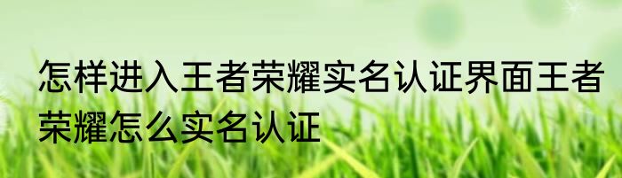 怎样进入王者荣耀实名认证界面王者荣耀怎么实名认证