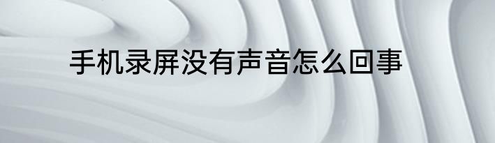 手机录屏没有声音怎么回事