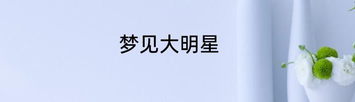 梦见大明星
