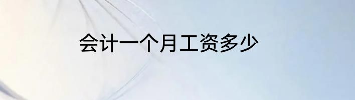 会计一个月工资多少
