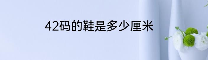 42码的鞋是多少厘米