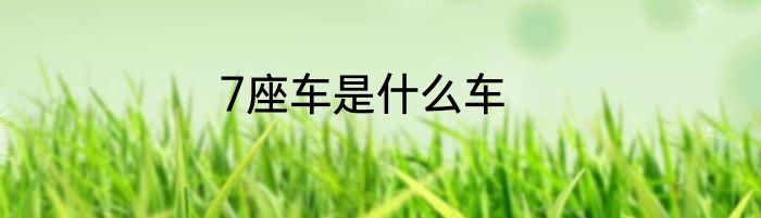 7座车是什么车