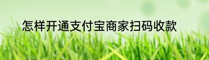 怎样开通支付宝商家扫码收款