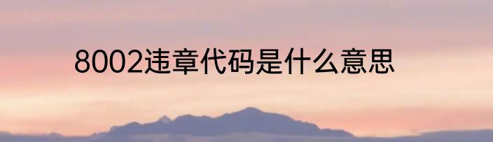 8002违章代码是什么意思