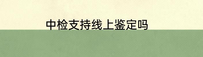 中检支持线上鉴定吗