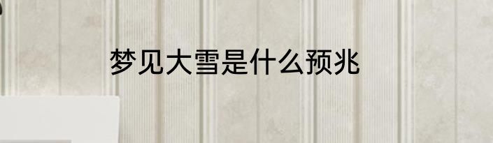 梦见大雪是什么预兆