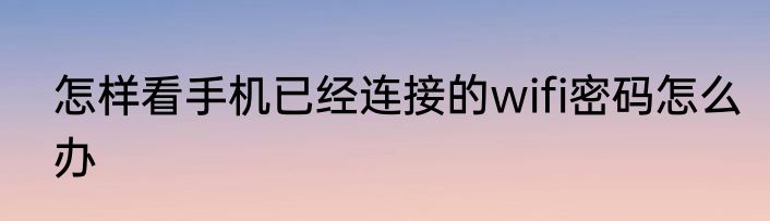 怎样看手机已经连接的wifi密码怎么办