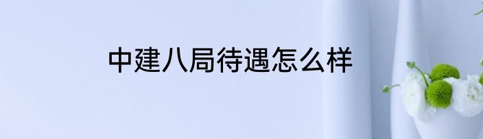 中建八局待遇怎么样