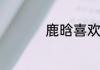 鹿晗喜欢用的什么手机