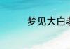 梦见大白老鼠是什么意思