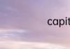 capitalism造句