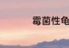 霉菌性龟头炎用什么药