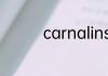 carnalinstinct是哪个区