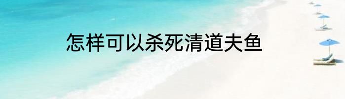 怎样可以杀死清道夫鱼