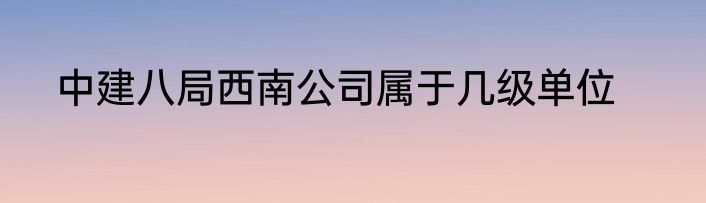 中建八局西南公司属于几级单位