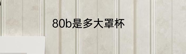 80b是多大罩杯
