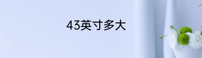 43英寸多大