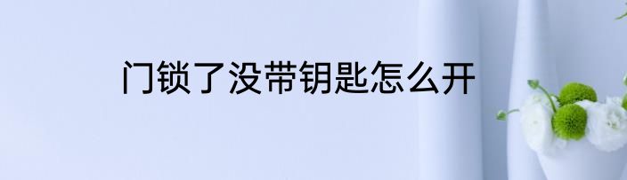 门锁了没带钥匙怎么开