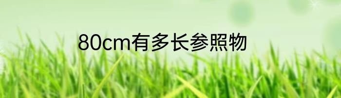 80cm有多长参照物