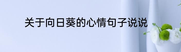 关于向日葵的心情句子说说