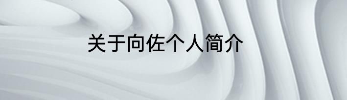 关于向佐个人简介