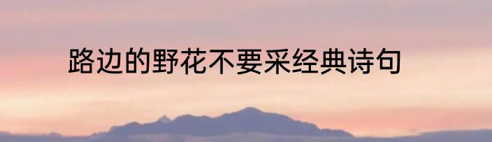路边的野花不要采经典诗句