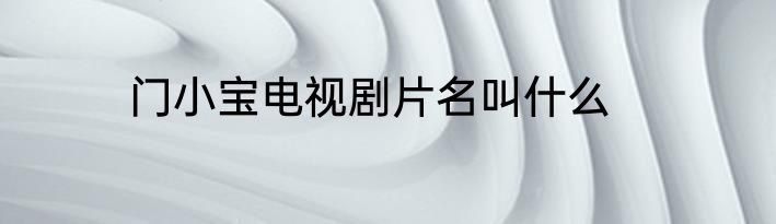 门小宝电视剧片名叫什么