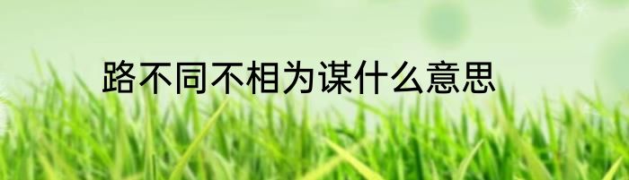 路不同不相为谋什么意思