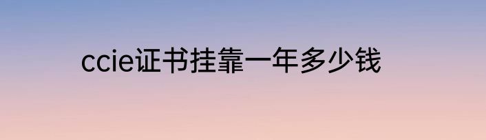 ccie证书挂靠一年多少钱