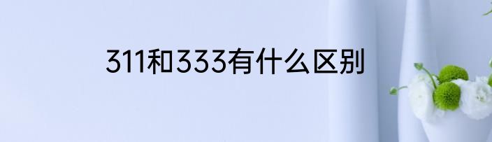 311和333有什么区别