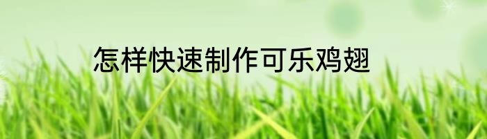 怎样快速制作可乐鸡翅
