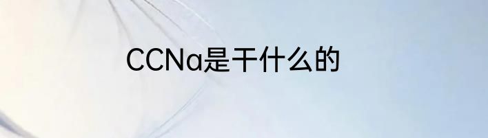 CCNa是干什么的