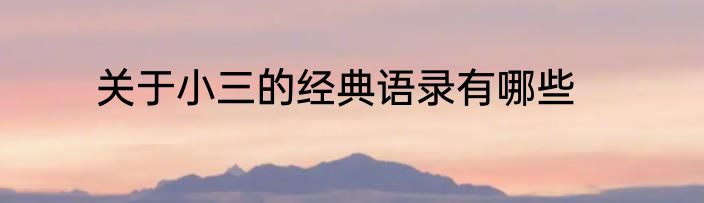 关于小三的经典语录有哪些