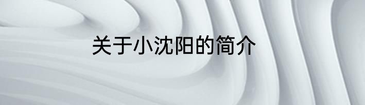 关于小沈阳的简介