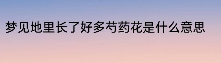 梦见地里长了好多芍药花是什么意思