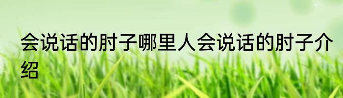 会说话的肘子哪里人会说话的肘子介绍
