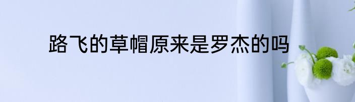 路飞的草帽原来是罗杰的吗