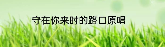 守在你来时的路口原唱