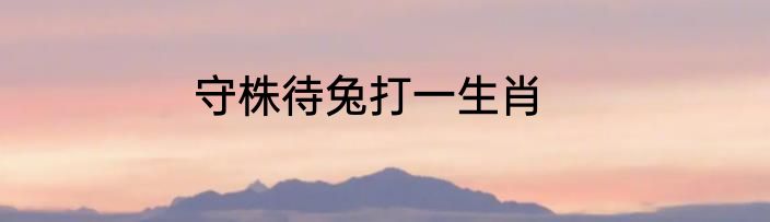 守株待兔打一生肖