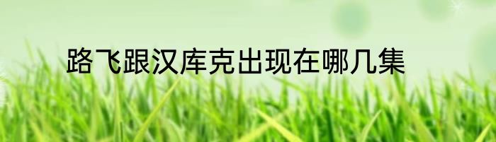 路飞跟汉库克出现在哪几集